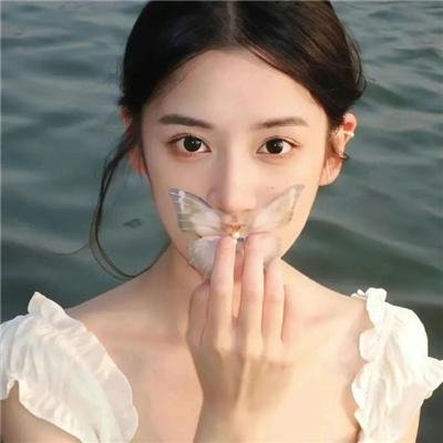 摩斯探长第八季