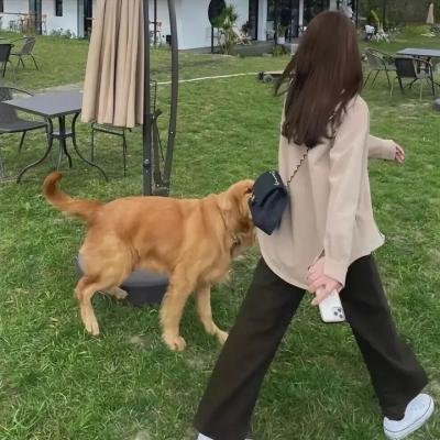 外星入侵